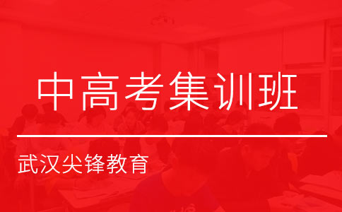 武汉尖锋教育中高考集训班于2023年7月10日到2024年6月16日循环开班
